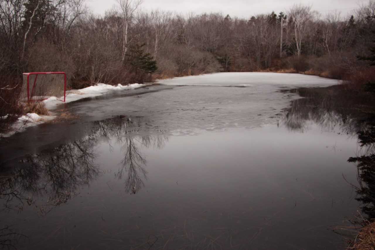 The Pond - Sylvia Hamilton