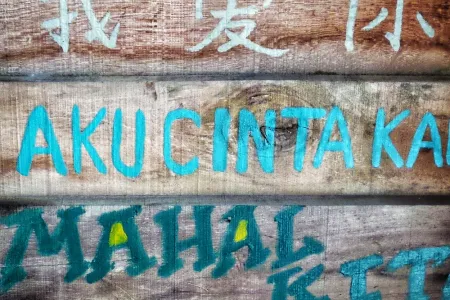 Languages