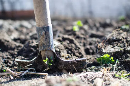 Migrant Workers in Agriculture