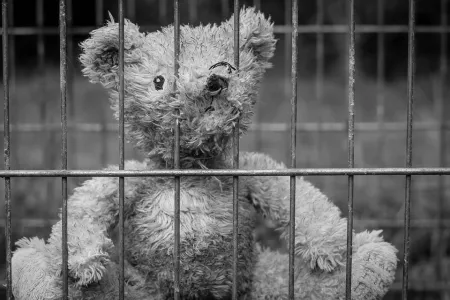 Solitary Confinement