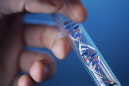 Gene editing photo 1